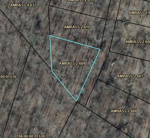 lot609 Ambassador Shrs, Leitchfield, KY 42757