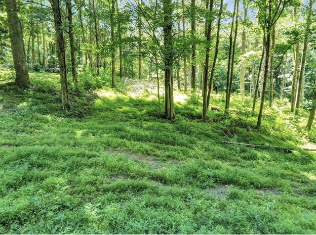 lot45 A Walleye Way, Scottsville, KY 42164