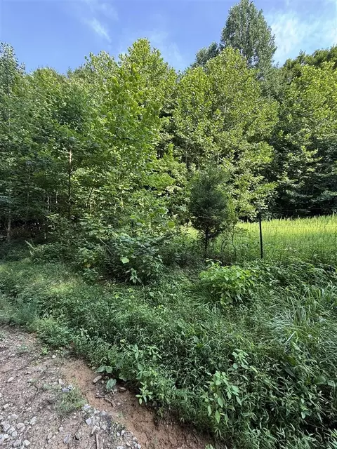 158 Acres Johnson Cemetery Rd, Morgantown, KY 42261