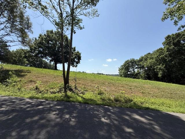 1 135 Acres Gainesville Port Oliver Rd, Scottsville, KY 42164