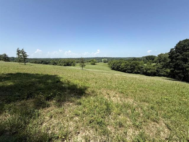 20 414 Acres Gainesville Port Oliver Rd, Scottsville, KY 42164