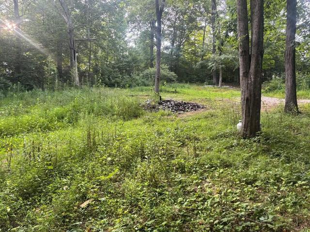 681 Lock 5 Rd, Roundhill, KY 42275
