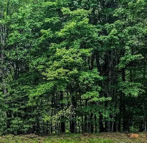 lot4 Cline Rd, Bowling Green, KY 42101
