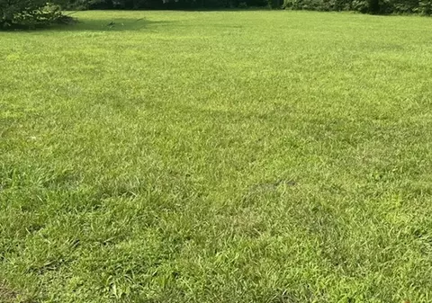 611 Oaklawn Way, Bowling Green, KY 42104