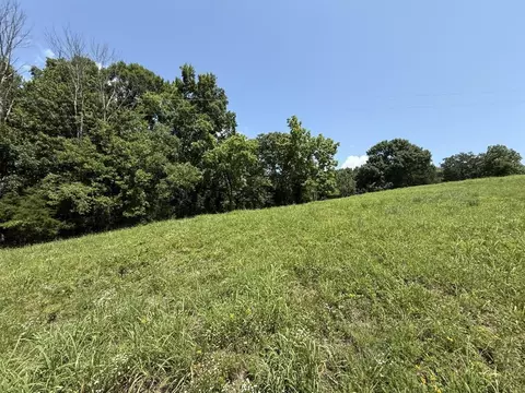 lot4 D Gainesville Port Oliver Rd, Scottsville, KY 42164
