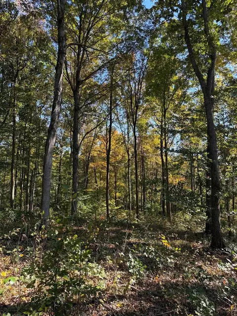 0 Cornwell Rd, Scottsville, KY 42164