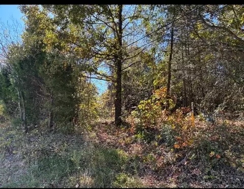 00 Highway 171, Greenville, KY 42345