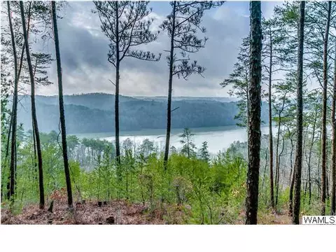 12601 Port Mayfield Rd, Tuscaloosa, AL 35406 photo 2