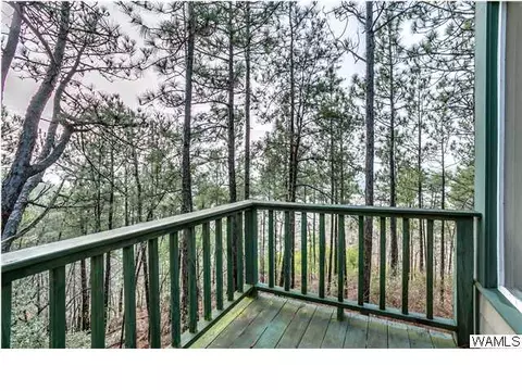 12601 Port Mayfield Rd, Tuscaloosa, AL 35406 photo 16