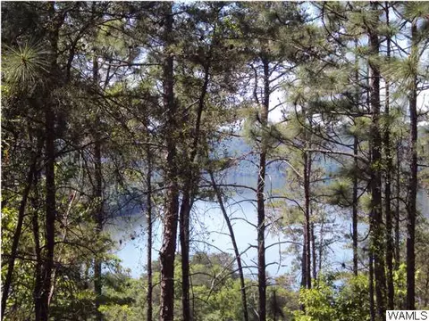 12601 Port Mayfield Rd, Tuscaloosa, AL 35406 photo 27