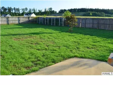 11641 Box Elder Way, Vance, AL 35490 photo 21