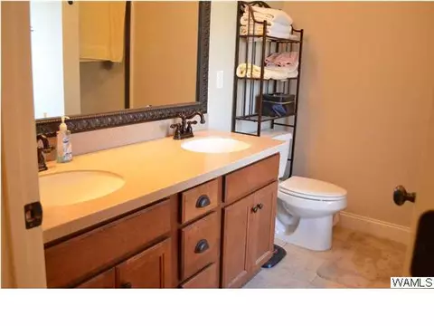 11641 Box Elder Way, Vance, AL 35490 photo 14