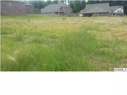 7029 Abbey Loop, Cottondale, AL 35453 photo 4