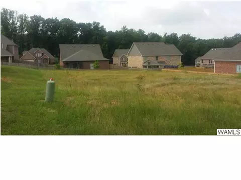 7029 Abbey Loop, Cottondale, AL 35453 photo 3