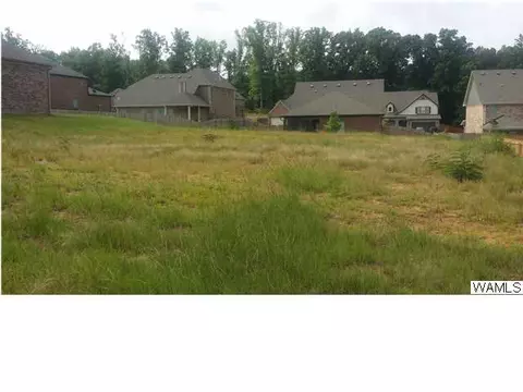 7029 Abbey Loop, Cottondale, AL 35453 photo 6