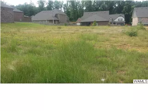 7029 Abbey Loop, Cottondale, AL 35453 photo 5