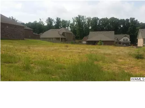 7029 Abbey Loop, Cottondale, AL 35453 photo 1
