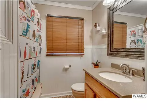 1622 59th Ave, Cottondale, AL 35453 photo 16