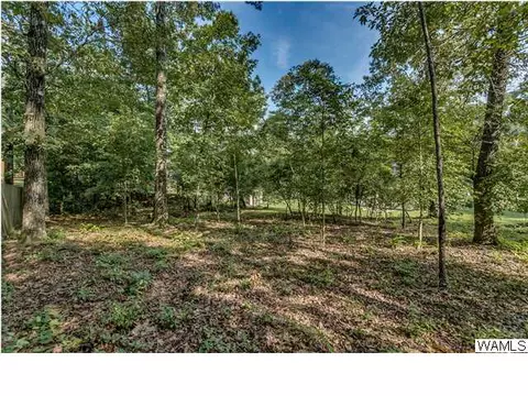 16376 Chase Cir, Ralph, AL 35480 photo 27