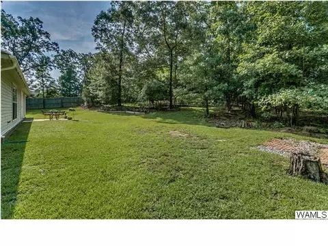 16376 Chase Cir, Ralph, AL 35480 photo 29