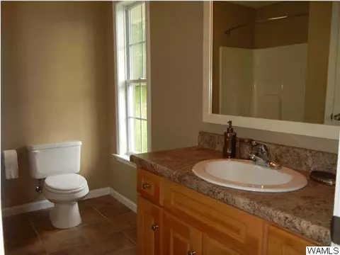 13252 Abernant Loop Rd, Vance, AL 35490 photo 7