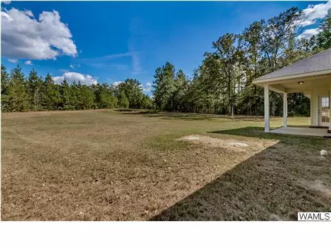 16537 Chase Cir, Ralph, AL 35480 photo 27