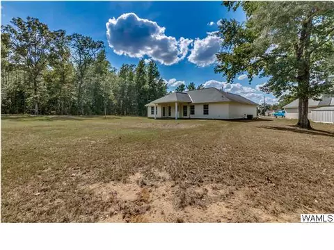 16537 Chase Cir, Ralph, AL 35480 photo 26