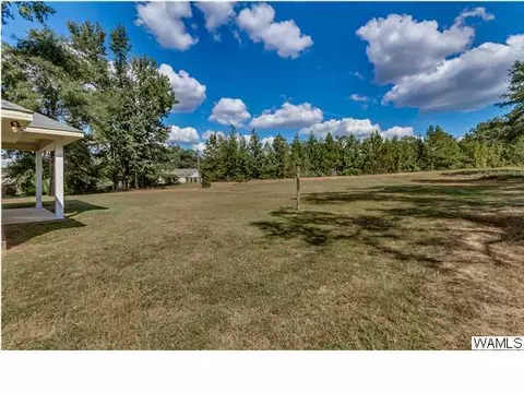 16537 Chase Cir, Ralph, AL 35480 photo 24