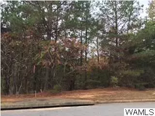 6312 Lake Vista Dr #71, Tuscaloosa, AL 35406