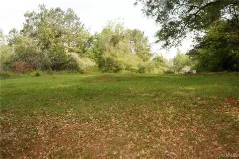 5718 Cr 60, Eutaw, AL 35462 photo 17