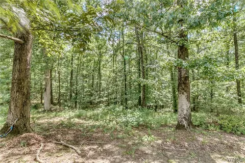 11960 Sam Sutton Rd, Coker, AL 35452 photo 36
