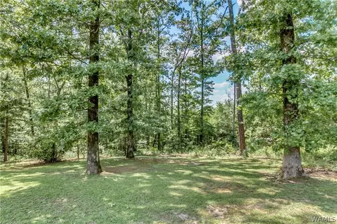 11960 Sam Sutton Rd, Coker, AL 35452 photo 33