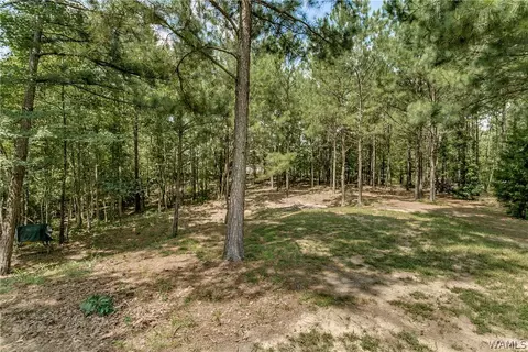 12412 Timber Hts, Ralph, AL 35480 photo 40