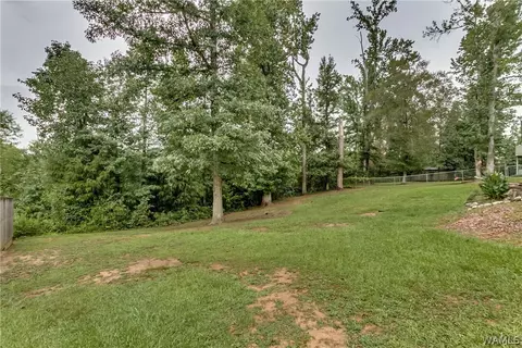 7226 61st Ave E, Cottondale, AL 35453 photo 17
