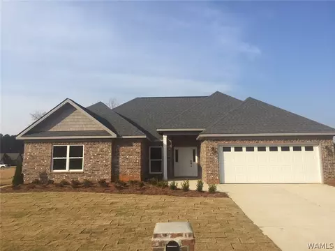 10641 Austin Loop, Vance, AL 35490 photo 1