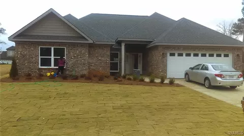 10641 Austin Loop, Vance, AL 35490 photo 2