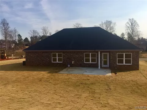 10641 Austin Loop, Vance, AL 35490 photo 3