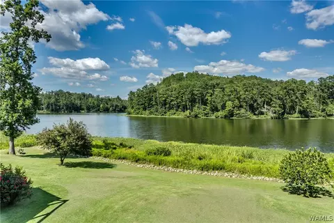 580 Busby Slough, Parrish, AL 35580 photo 28