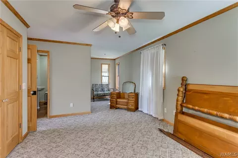 580 Busby Slough, Parrish, AL 35580 photo 13