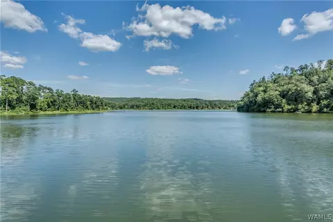 580 Busby Slough, Parrish, AL 35580 photo 32