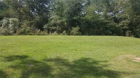119 Whittsitt Loop, Newbern, AL 36765 photo 5