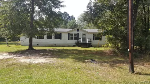 119 Whittsitt Loop, Newbern, AL 36765 photo 1