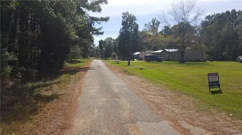 119 Whittsitt Loop, Newbern, AL 36765 photo 2