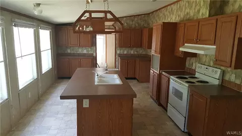 119 Whittsitt Loop, Newbern, AL 36765 photo 13