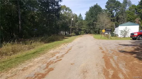 119 Whittsitt Loop, Newbern, AL 36765 photo 3