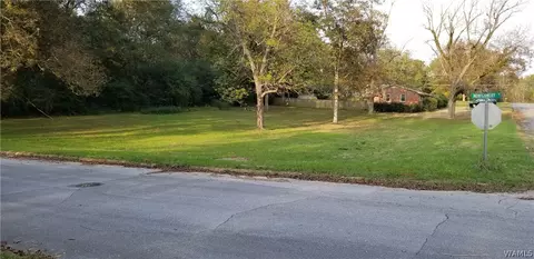 104 Chambers Ave, Eutaw, AL 35462 photo 2