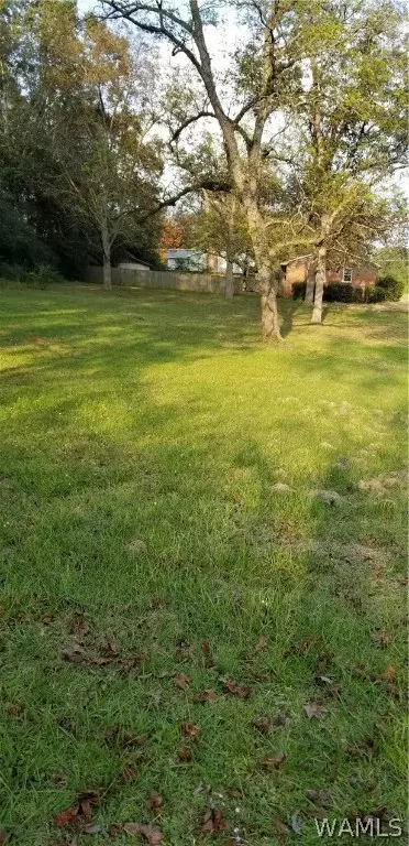 104 Chambers Ave, Eutaw, AL 35462 photo 6