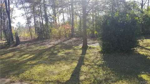 1902 Hackberry Ln, Demopolis, AL 36732 photo 4