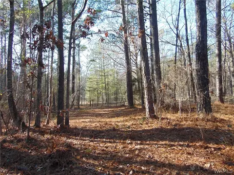 12260 Mcmath Trl, Mc Calla, AL 35111 photo 36