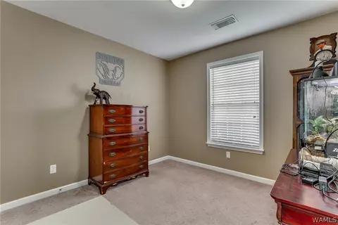 18396 Peyton Ln, Vance, AL 35490 photo 18
